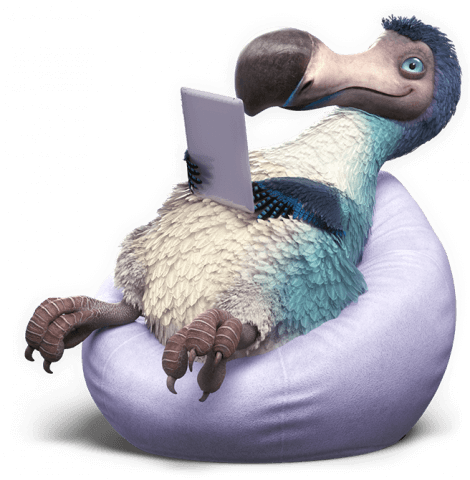 dodo sitting on beanbag