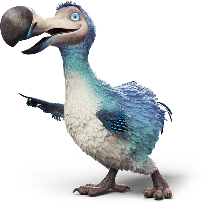 dodo home phone and internet packages