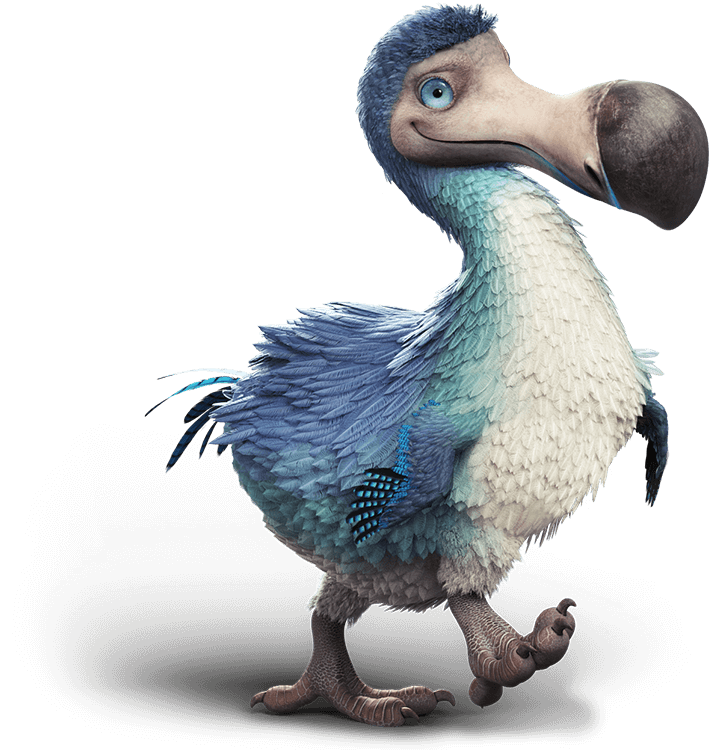 dodo internet