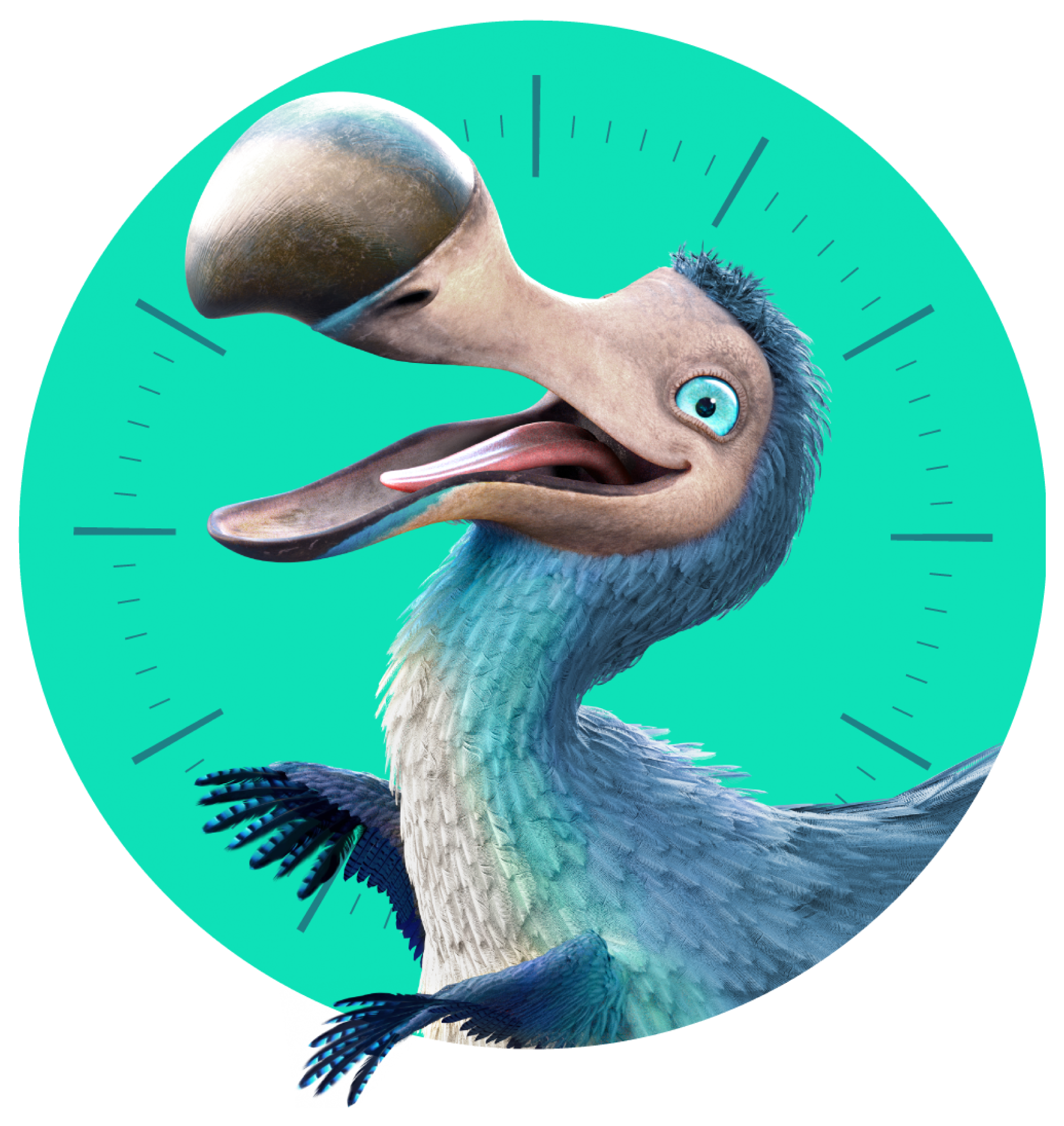 Dodo NBN Providers Mobile Energy