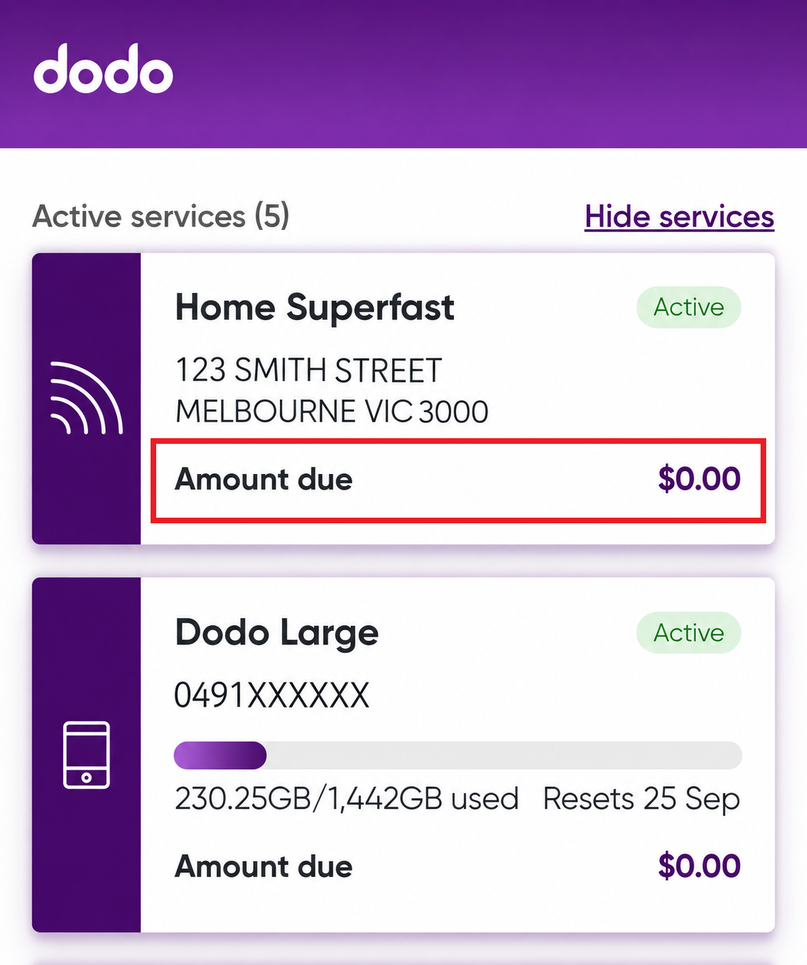 Home screen showing services and balances