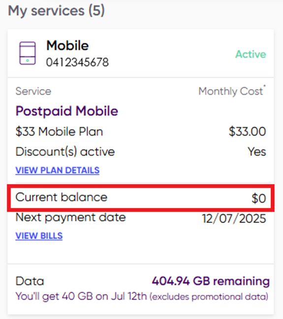 Image showing current balance section